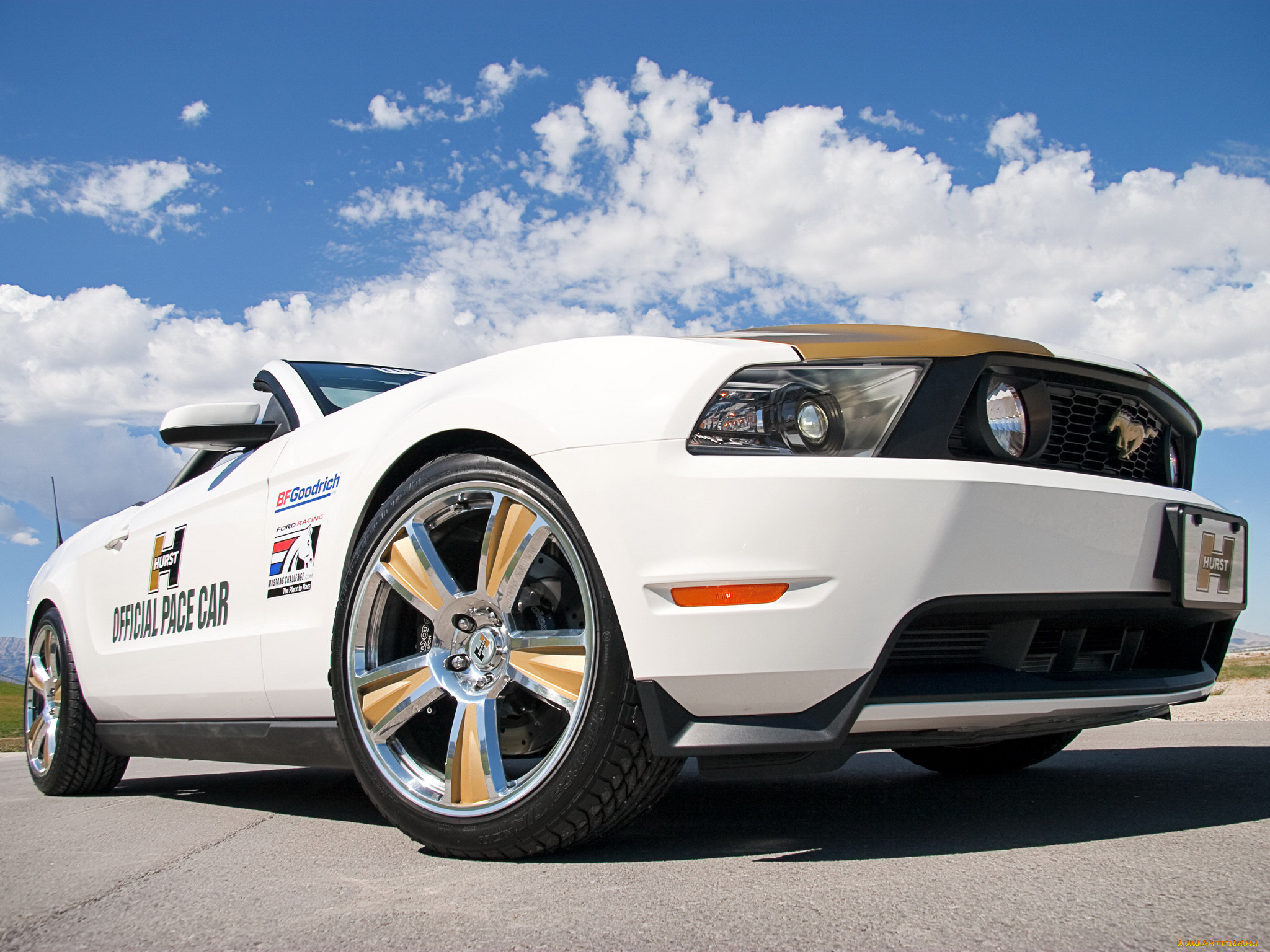 , mustang